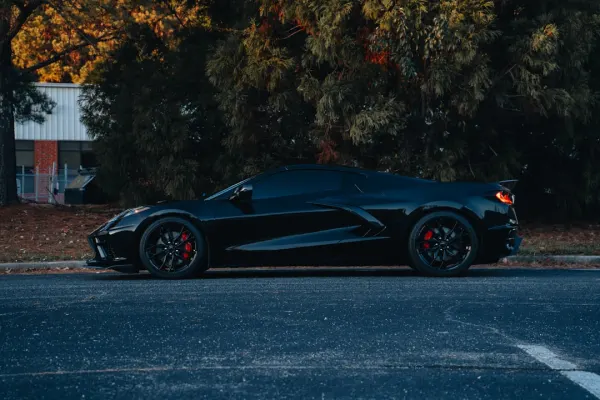 Winnerz Casino App Android/iOS